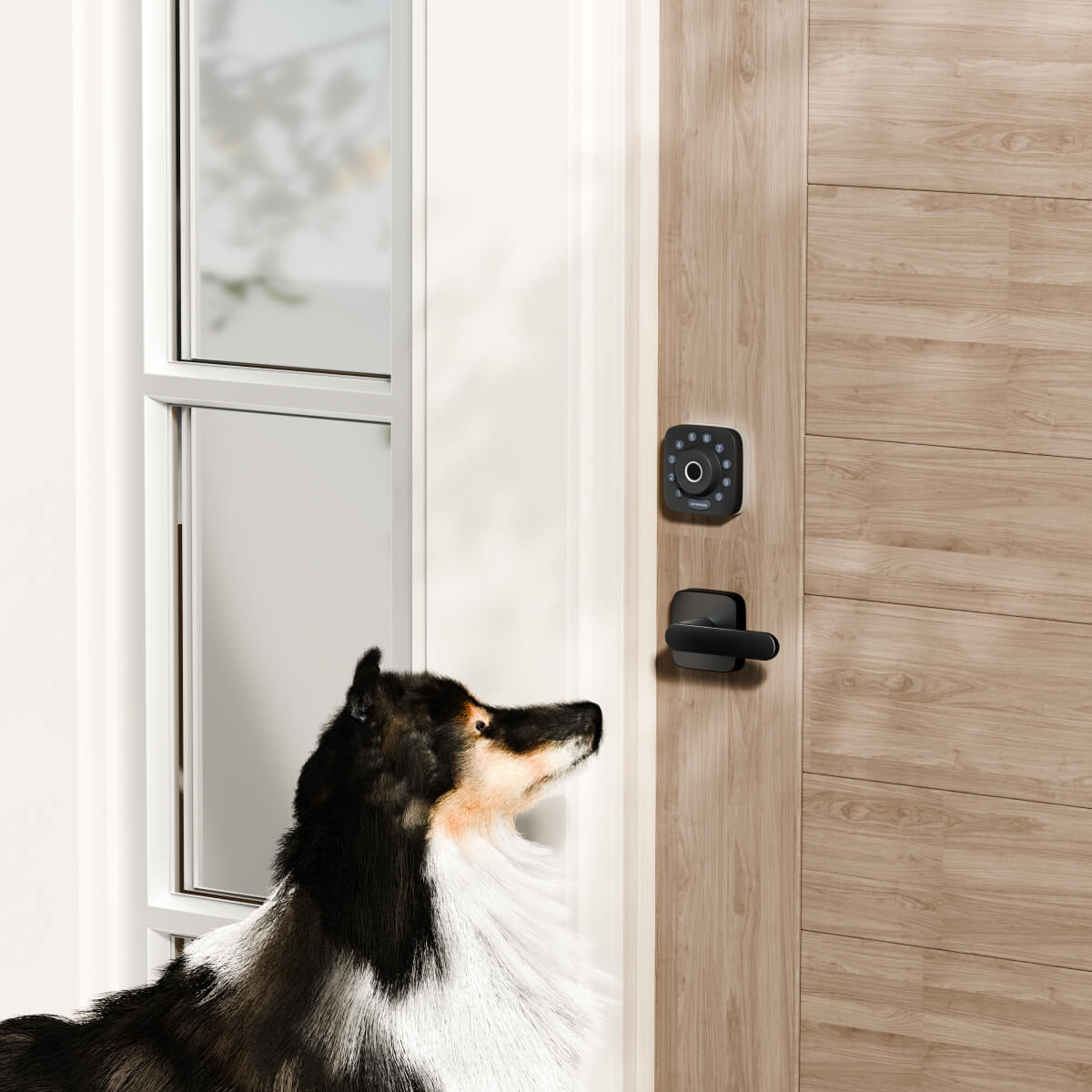 ULTRALOQ Ultra Handle Black: A New Era in Door Handles!