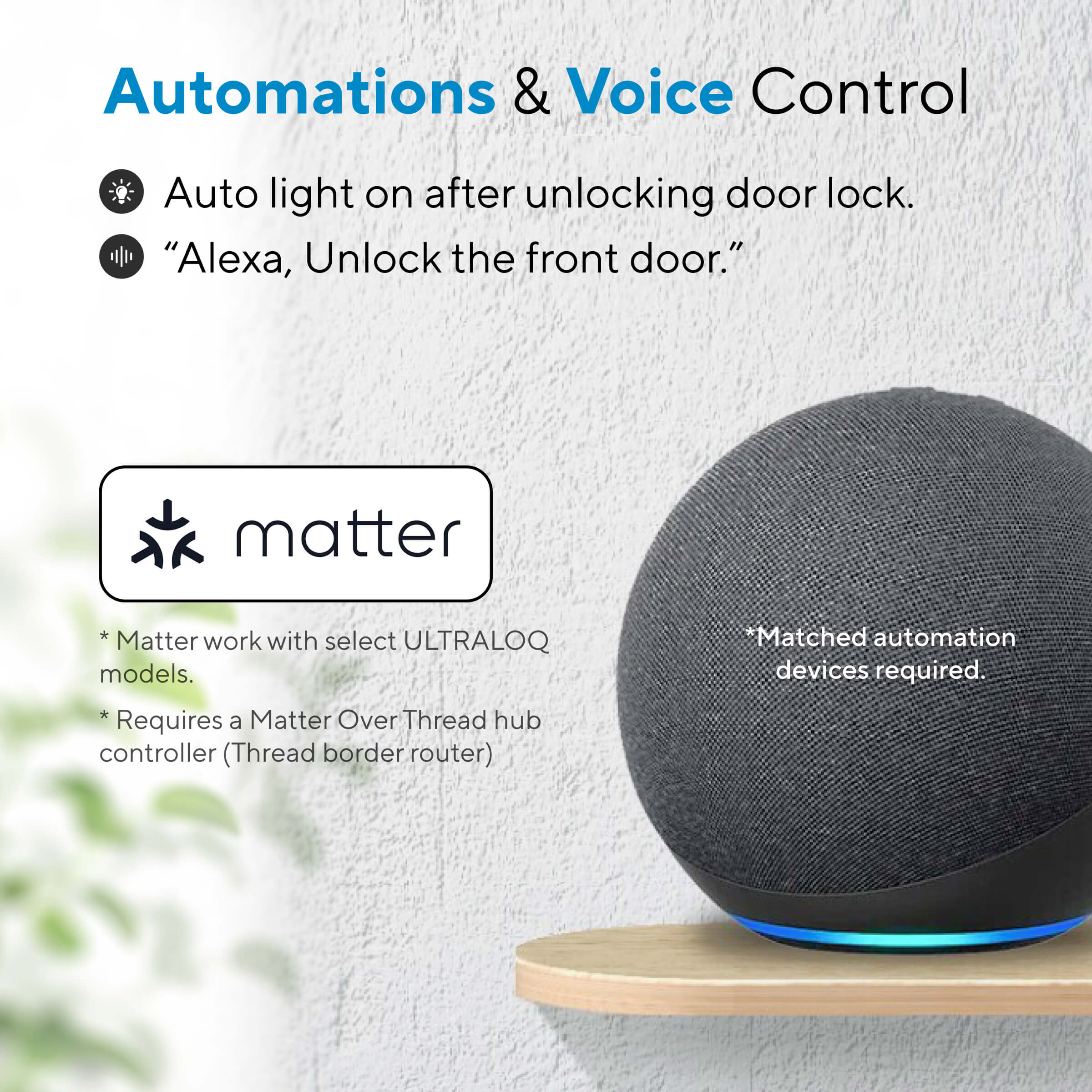 Automations & Voice Control